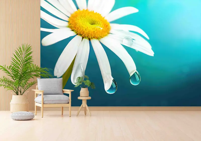 Elegante, mit Gänseblümchen bedruckte Tapete: Verwandeln Sie Ihren Raum mit floraler Schönheit