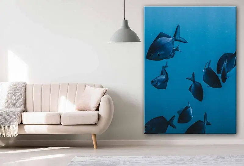 Underwater Wall Art, Fish Prints, Fish Wall Art, Underwater Canvas, Underwater Prints, Fish Canvas, Animals Wall Art, Wall Art Canvas, Fish, - 1