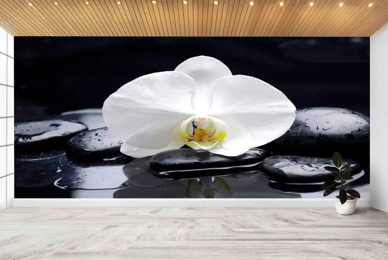 Papel pintado elegante con estampado de orquídeas: piedras de spa y regalo para amantes de las orquídeas
