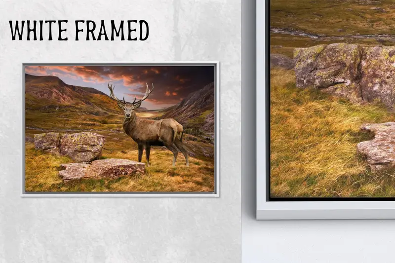 エレガントなディア マウンテン キャンバス: 自然の静けさを鮮やかなプリントで表現