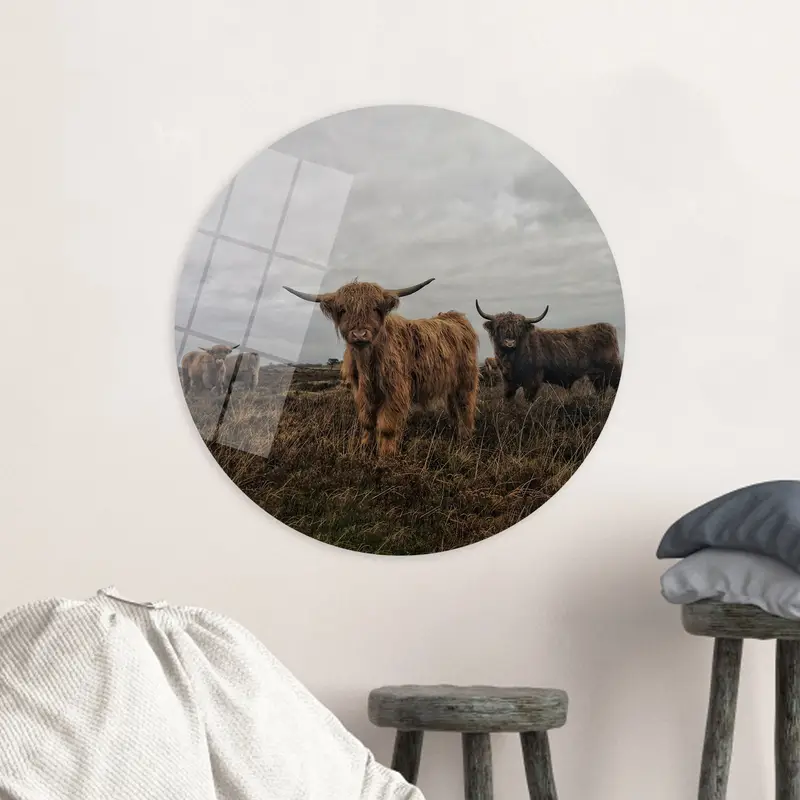 Majestic Bison Canvas: Nature's Wild Beauty Unleashed