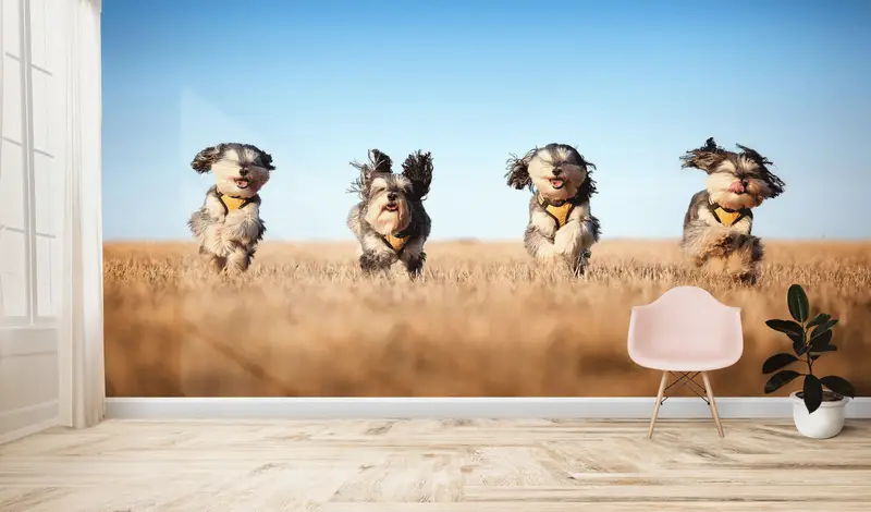 Papel pintado impreso: cuatro perros lindos, perros corriendo, perro encantador