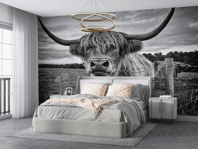 Scottish Highland Viehfoto, Highland Cow -Wandbild, Bullenwandkunst, schottisches Highland -Rinder -Wandplakat, Wild Bull Wall Painting, - 4