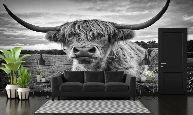 Scottish Highland Viehfoto, Highland Cow -Wandbild, Bullenwandkunst, schottisches Highland -Rinder -Wandplakat, Wild Bull Wall Painting, - 2