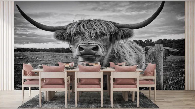 Scottish Highland Viehfoto, Highland Cow -Wandbild, Bullenwandkunst, schottisches Highland -Rinder -Wandplakat, Wild Bull Wall Painting, - 8