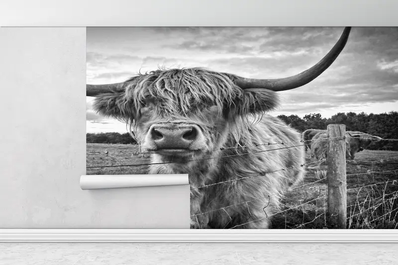 Scottish Highland Viehfoto, Highland Cow -Wandbild, Bullenwandkunst, schottisches Highland -Rinder -Wandplakat, Wild Bull Wall Painting, - 1