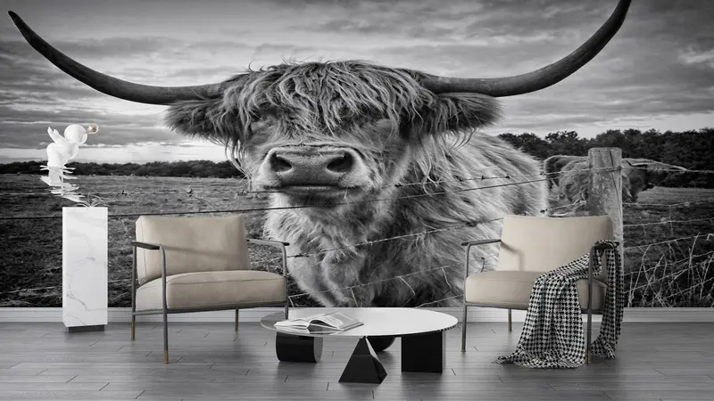Scottish Highland Viehfoto, Highland Cow -Wandbild, Bullenwandkunst, schottisches Highland -Rinder -Wandplakat, Wild Bull Wall Painting, - 3