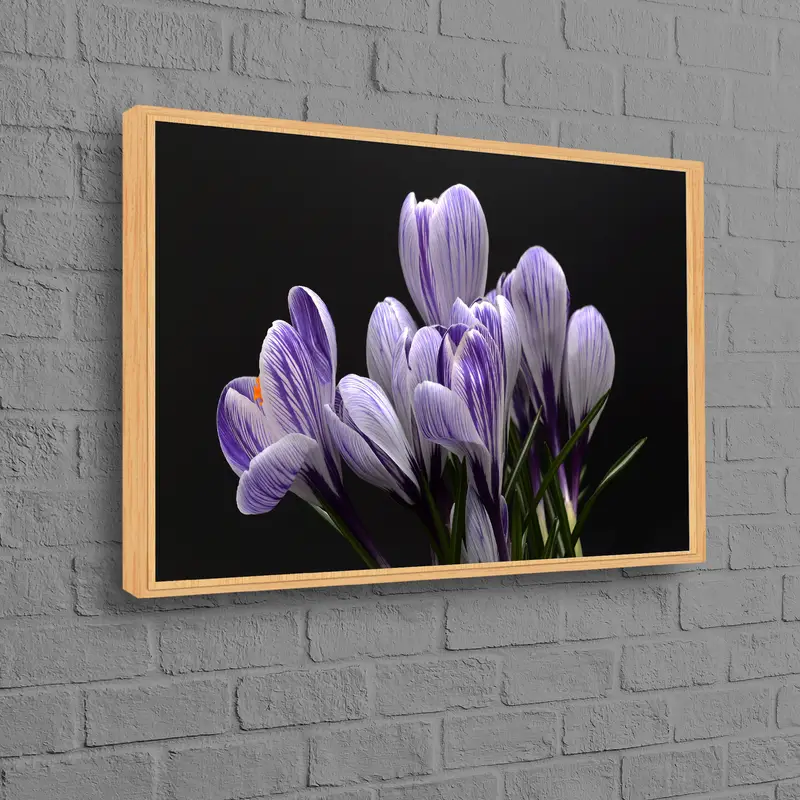 モダンで豪華な紫色のクロッカスの花のキャンバスプリント、エレガントな装飾