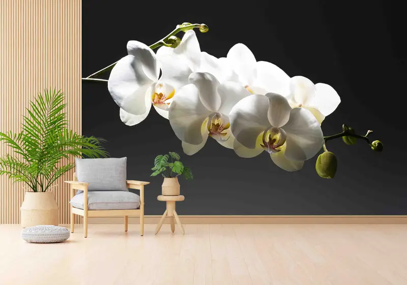 Zarif Beyaz Orkide Baskılı Duvar Kağıdı - Sanatsal Çiçek Dekoru