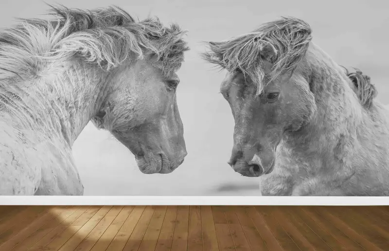 Trendy Çiftlik Evi At Duvar Kağıdı: Çatı Katları için Zarif Baskılı Dekor