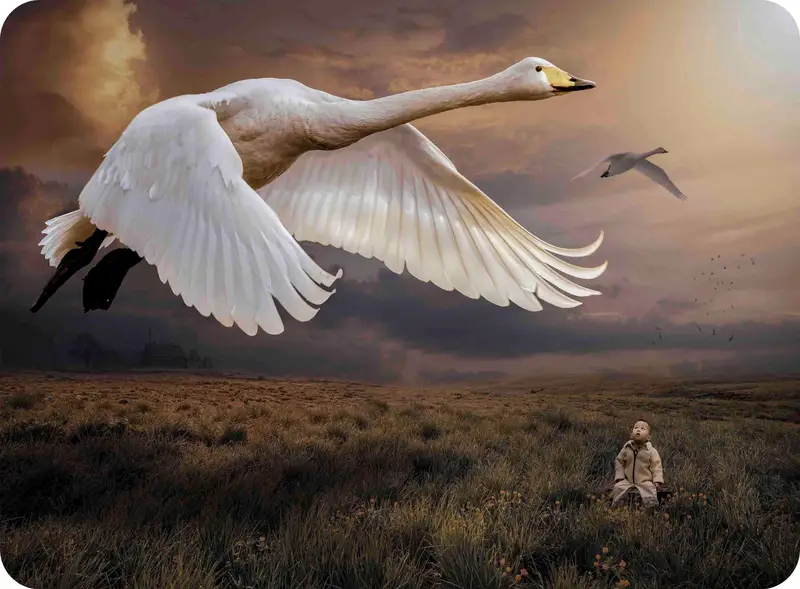 抽象的なコウノトリのガラスのまな板、モダンな農家のキッチンの必需品