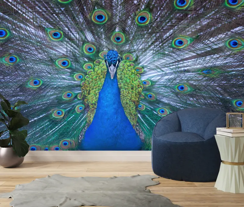 Tavus Kuşu Severler için Modern Lüks Tavus Kuşu Mavi Baskılı Duvar Kağıdı