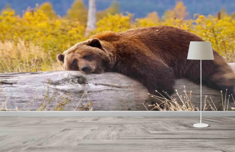 Modern Printed Wallpaper: Cute Bear Design for Trendy Man Cave