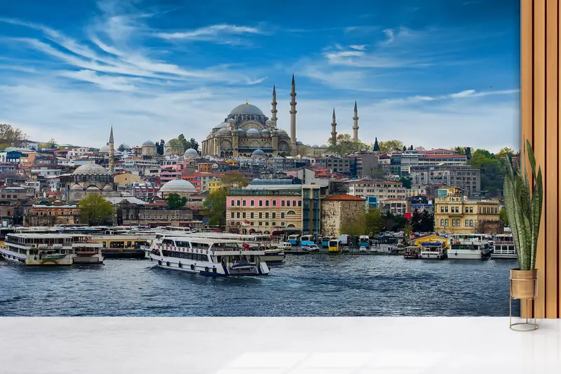 Modern Wall Paper, Paper Wall Art, Turkey Wall Paper, , Wall Paper Peel and Stick, Landscape Wall Poster, - 3