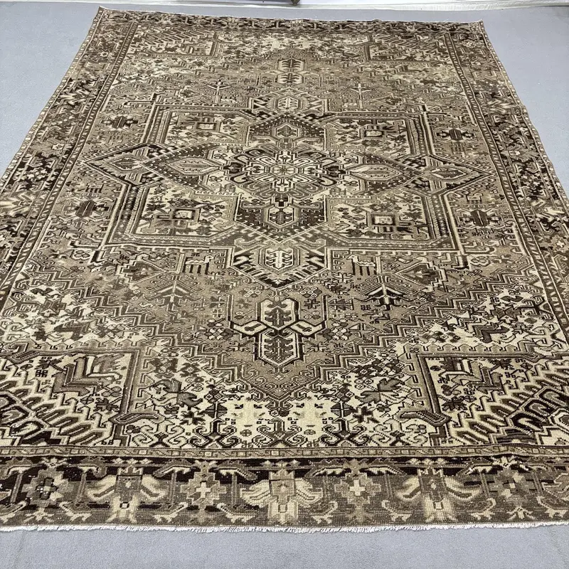 Vintage Turkish Rug 9.7x12.3 ft, Oushak Brown Animal Print Wool Rug - 1