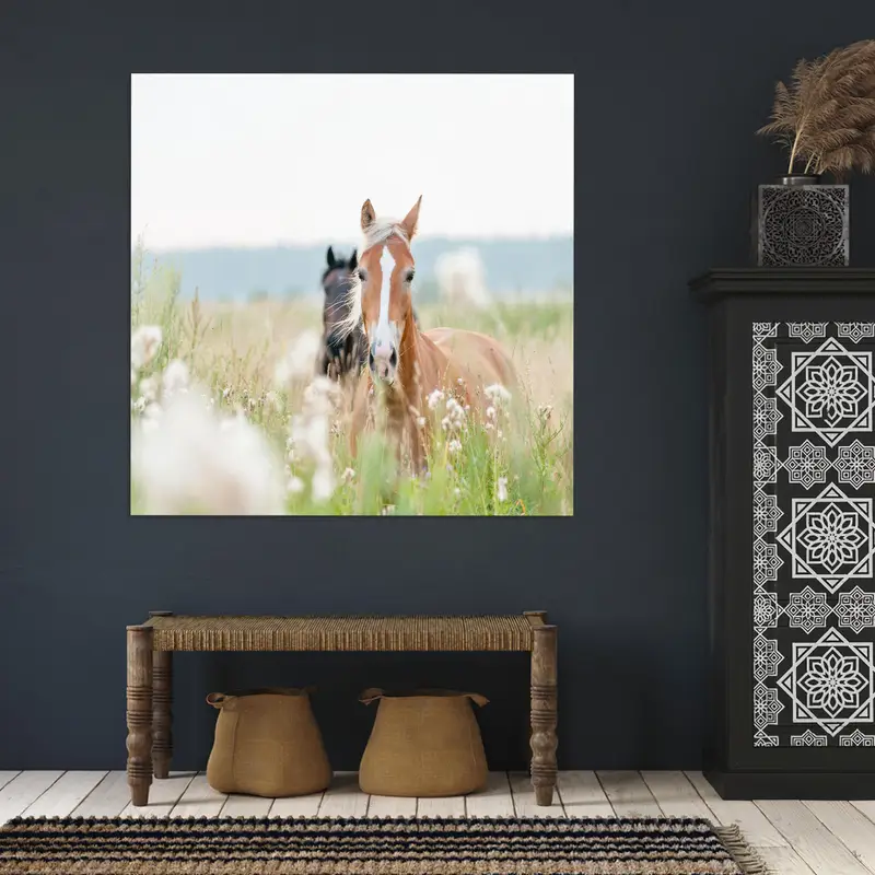 Zarif Kıyı Çiftlik Evi Baskılı Cam - İki At Tasarımı