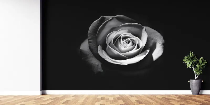 Black White Mural,3d Wall Paper,Modern Wall Paper,Paper Wall Art ,Rose Wallpaper,White Rose Photography,Floral Wall Decor, - 10