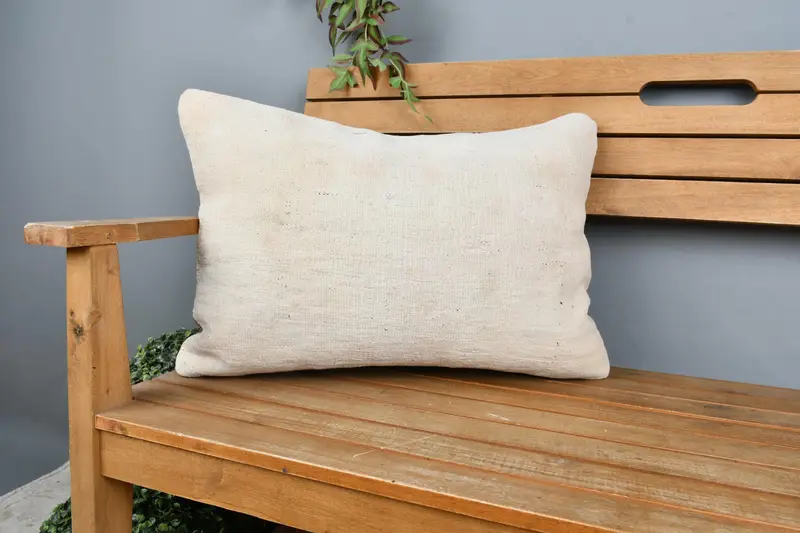 Pillow Sham, Pet Pillow Case, 16x24 Beige Pillow Sham, Pillow for Sofa, Neutral Throw Pillow, Kilim Pillow Cover, Turkish Pillow - 1