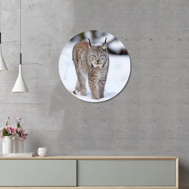 Elegant Wolf Cat Printed Glass: Winter Wild Animal Theme