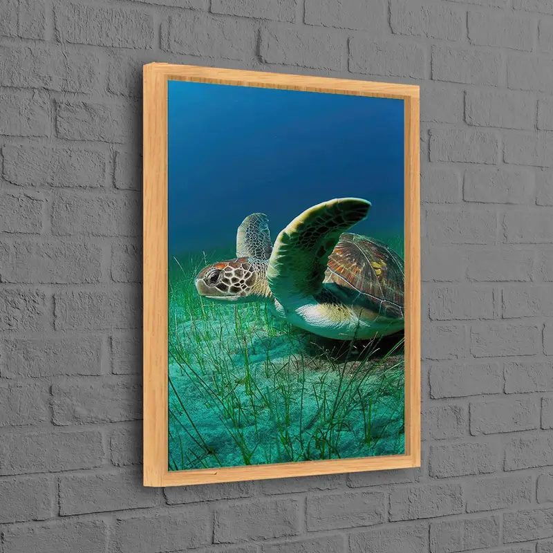Modern Tropical Turtle Sea Canvas - Trendy, Elegant Home Decor