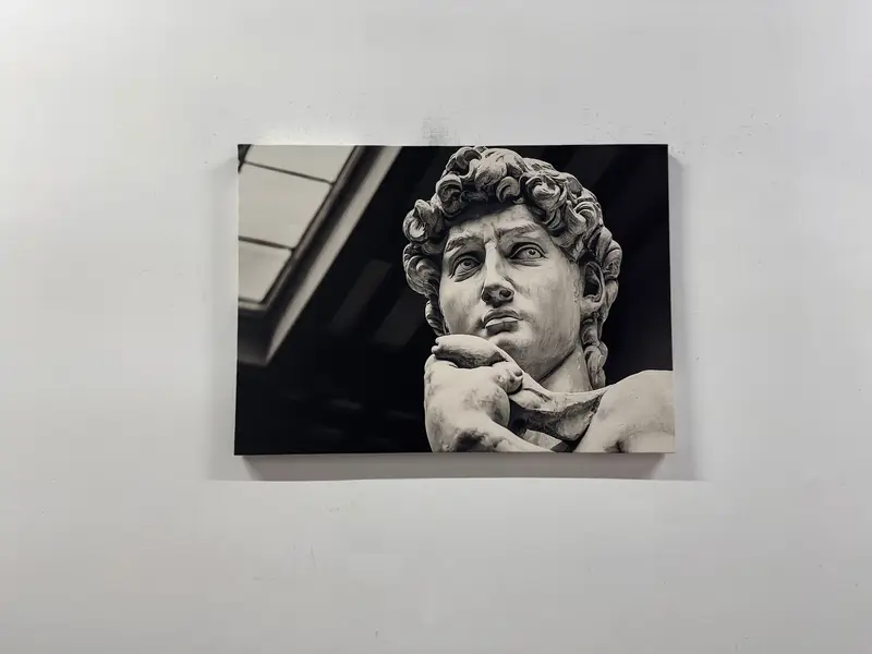Statue Wall Art, David Wall Art, David Statue, Large Wall Art, Michelangelo Art, Buonarroti Poster, Office Wall Decor, Statue Canvas Print - 2
