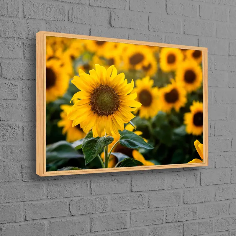 トレンディなひまわりイエローファームハウスキャンバスプリント、エレガントなキッチン装飾用