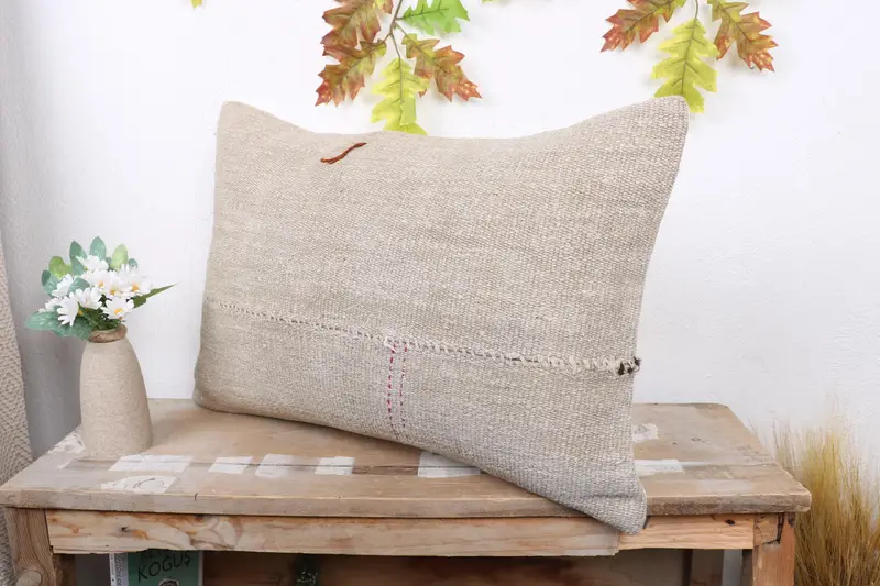 16x24 Beige Pillow Sham, Accent Throw Pillow Cover, Cushion, Home Decor Pillow, Pillow for Sofa, Outdoor Throw Pillow Sham, Pillow for Couch - 4