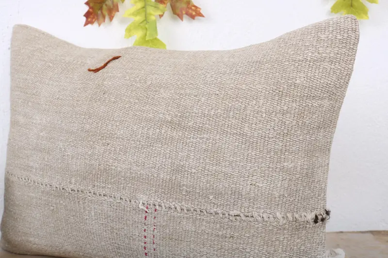 16x24 Beige Pillow Sham, Accent Throw Pillow Cover, Cushion, Home Decor Pillow, Pillow for Sofa, Outdoor Throw Pillow Sham, Pillow for Couch - 5