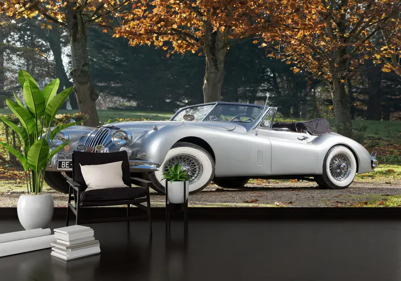 Modern Wall Paper,Jaguar Wall Mural,Car Wall Paper,Bright Wall Paper,Old Car Mural,Wall Paper Peel and Stick,1954 Jaguar Wall Decor, - 4