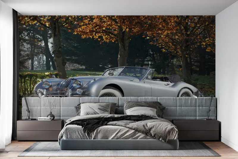 Modern Wall Paper,Jaguar Wall Mural,Car Wall Paper,Bright Wall Paper,Old Car Mural,Wall Paper Peel and Stick,1954 Jaguar Wall Decor, - 5