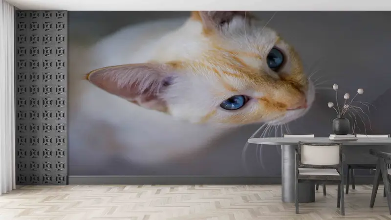 Cat Wall Stickers, Cat Photo Wall Stickers, Papercraft 3D, Cat Lover Gift Paper Art, Animal Wall Art, Layered Paper Art, Cute Cat Wall Art, - 5