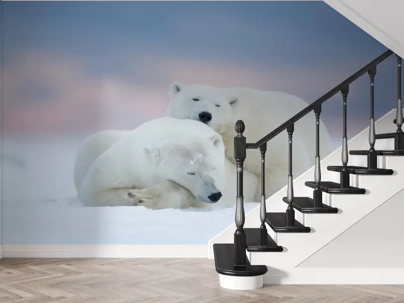 White Bear Wall Art, Animal Wall Stickers, Wall Art Decor, Polar Bears Wall Paper, Sleeping Bear Wall Stickers, Wallpaper Border, - 3