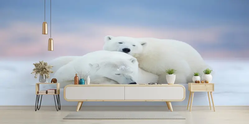 White Bear Wall Art, Animal Wall Stickers, Wall Art Decor, Polar Bears Wall Paper, Sleeping Bear Wall Stickers, Wallpaper Border, - 4