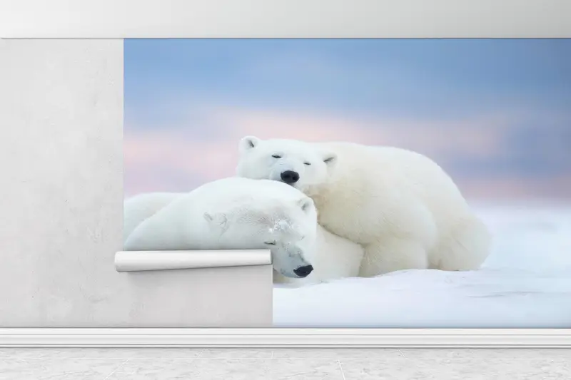 White Bear Wall Art, Animal Wall Stickers, Wall Art Decor, Polar Bears Wall Paper, Sleeping Bear Wall Stickers, Wallpaper Border, - 2