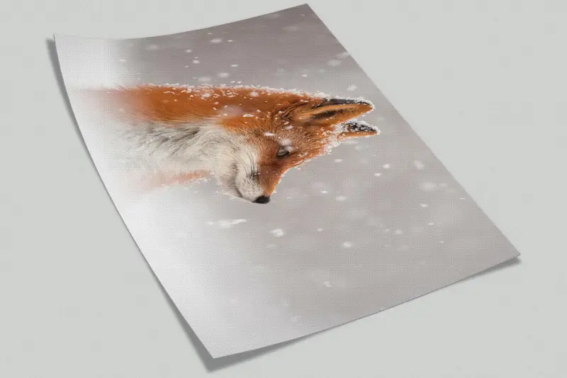 Trendy Paper Art, Fox in the Snow Wall Mural, Animal Wall Poster, Wall Paper Peel And Stick, Fox Digital Paper, Peel And Stick Wallpaper, - 3