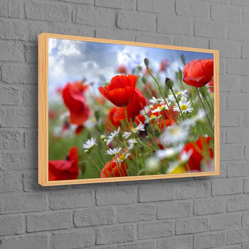 トレンディな農家のキャンバス: ケシ畑とデイジーの花