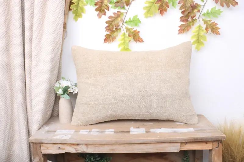 16x24 Beige Cushion, Pillow, Interior Designer Pillow, Colorful Cushion Cover, Pillow for Couch, Outdoor Pillow Cover, Antique Pillows - 1