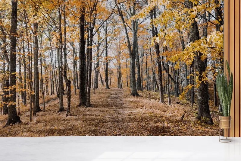 Bedruckte Tapete: Herbstblätter, Waldlandschaft, Eleganz
