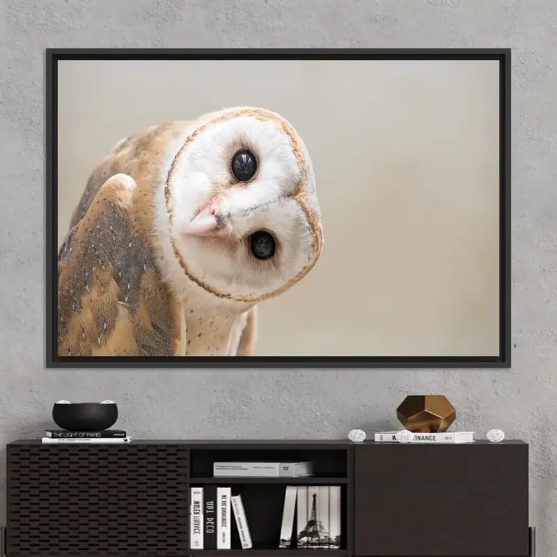 モダンなフクロウの写真キャンバス: 現代的なロフト装飾、ユニークなギフト