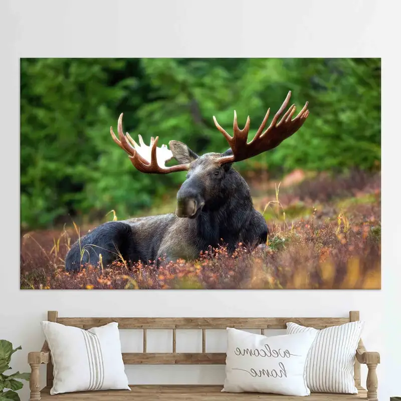Moose Kanvas Tablo - Baskılı Kanvas ile Mekanınızı Yükseltin