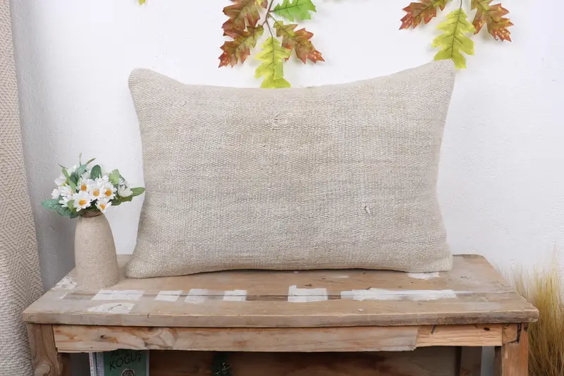 Pillow Case, Interior Designer Pillow, Kilim Pillow Cover, Outdoor Throw Cushion Cover, Home Decor Pillow, 16x24 Beige Pillow Sham - 1