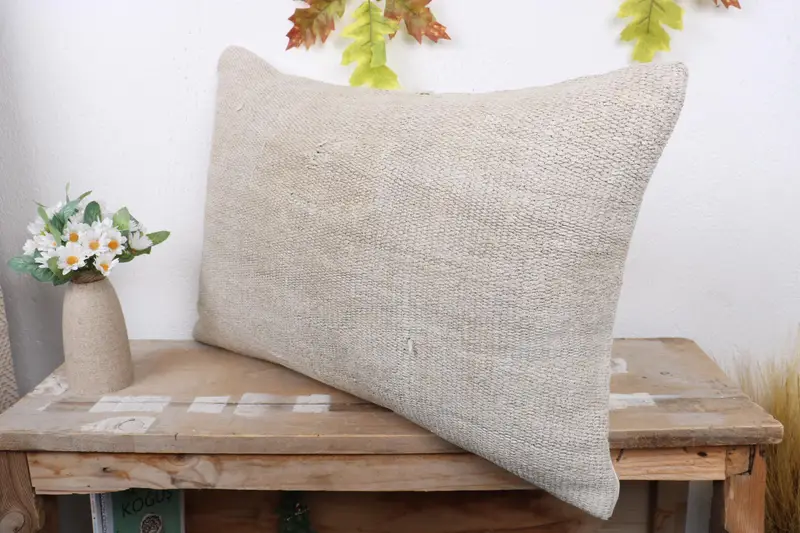 Pillow Case, Interior Designer Pillow, Kilim Pillow Cover, Outdoor Throw Cushion Cover, Home Decor Pillow, 16x24 Beige Pillow Sham - 4