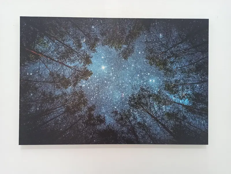 Starry Sky Wall Art, Night Sky Landscape, Night View Canvas, Forest Landscape Decor, Living Room Wall Art, Home Decor, Farmhouse Wall Decor, - 1