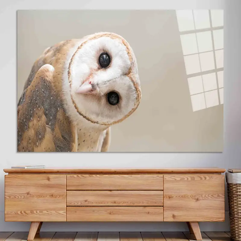 Moderne Eulen-Fotoleinwand: Zeitgenössische Loft-Dekoration, einzigartiges Geschenk