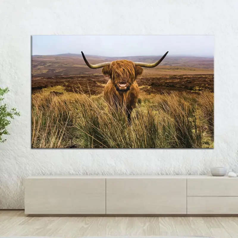 エレガントなハイランド牛キャンバス: 農家の装飾アートプリント
