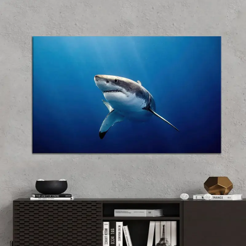 Modernes Bauernhaus-Schlafzimmer-Leinwand: Wunderschöner Hai-Unterwasser-Kunstdruck