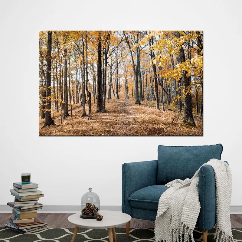 秋の森のキャンバス: 鮮やかな紅葉と美しい景色