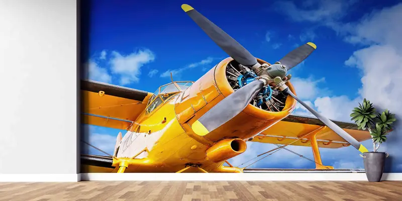 エレガントなプリント壁紙: 歴史的な航空機のある空の風景