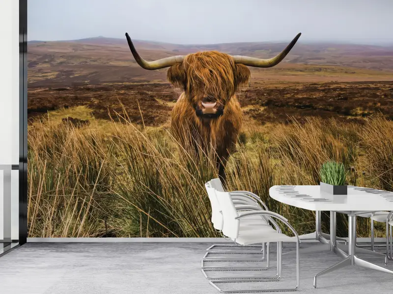 Bedruckte Highland-Kuh-Tapete: Rustikales Bauernhaus-Landhausdekor