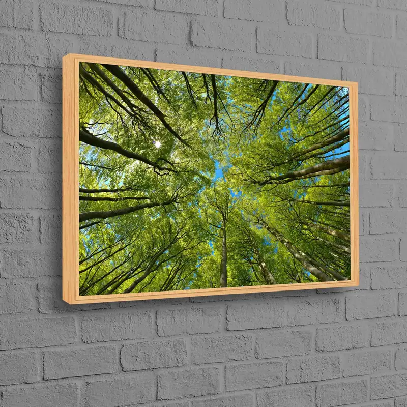 Zarif Orman Manzaralı Baskılı Kanvas: Doğanın Yeşili Kucaklaması